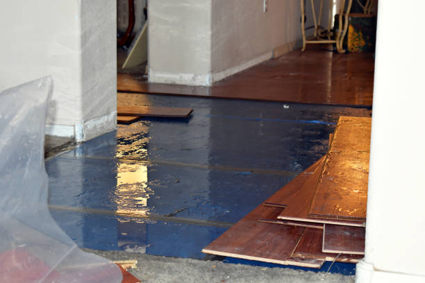 Professional Burst Pipe Cleanup technician working in Millfield, OH